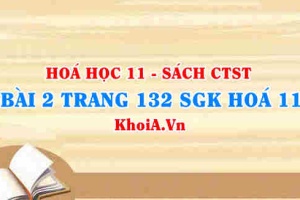 Bài 2 trang 132 SGK Hóa 11 Chân trời sáng tạo